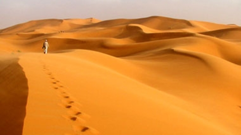 Удивителните неща, които прави светлината с дюните в пустинята (СНИМКИ)