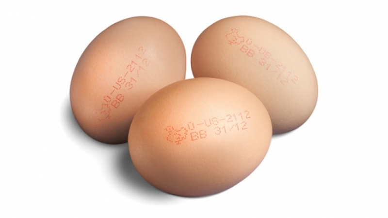 Внимание, потребители! Заради вратичка при проверките токсичните яйца от Европа вероятно вече са и у нас