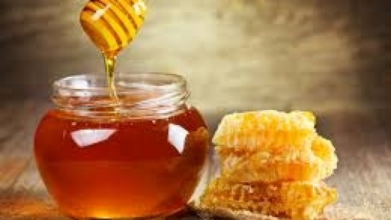Медът поскъпва с 20% заради висока смъртност при пчелите