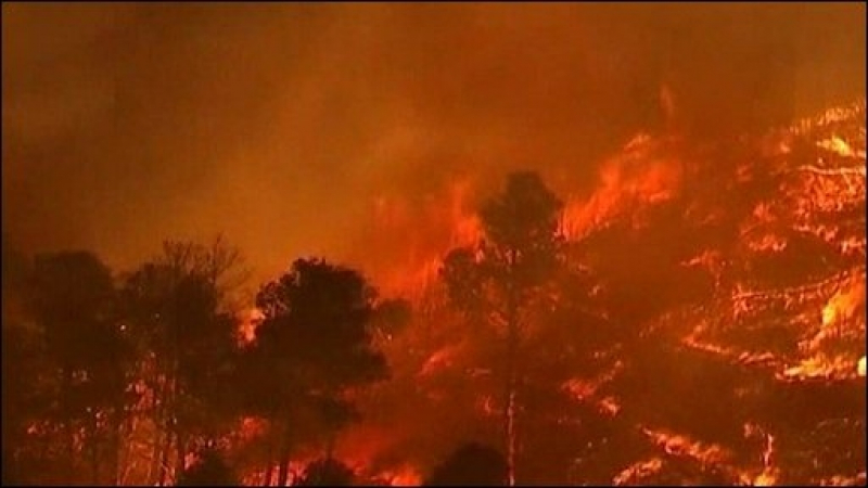 Гърция поиска помощ от другите европейски страни за потушаване на пожарите в страната