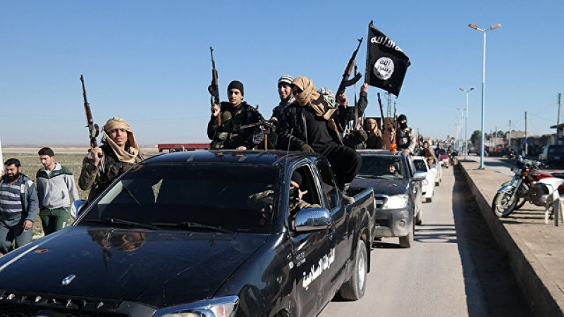 Експерти от САЩ разкриха секрета на въздействие на „бойния наркотик на ИД”   