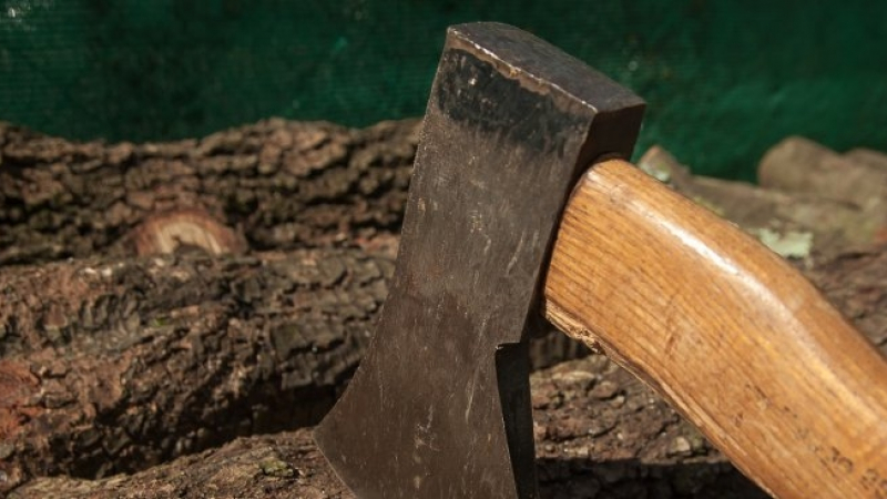 Дърво премаза млад мъж в местността Бабугерова каба