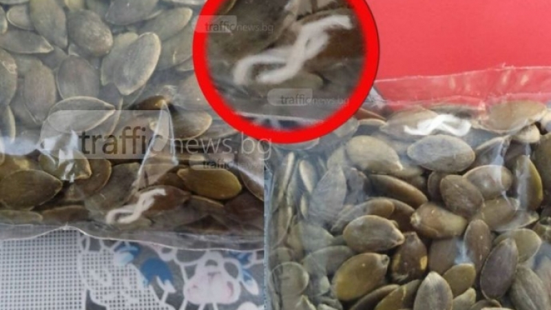Пловдивчанин си купи белени тиквени семки, но попадна на неприятна изненада (СНИМКИ)