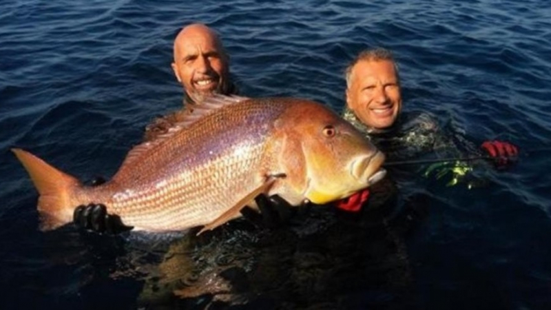 Гръцки рибар разби световния рекорд и улови най-голямата ципура в света