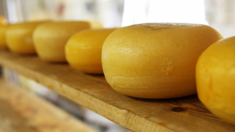 Корейски учени: Швейцарското сирене удължава живота 