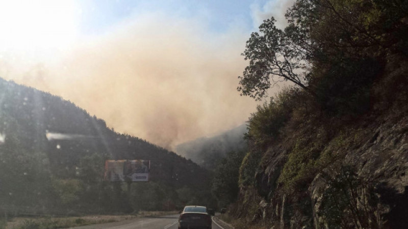 Пожар затвори за кратко пътя за Гърция (СНИМКИ/ВИДЕО)