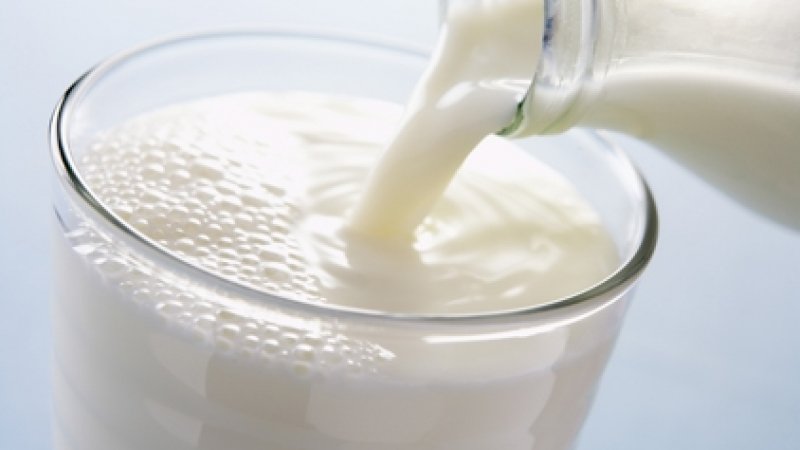 Експерти предупредиха за страшна хранителна криза в Европа! Млякото изчезва, най-тежко ще се усети на Коледа