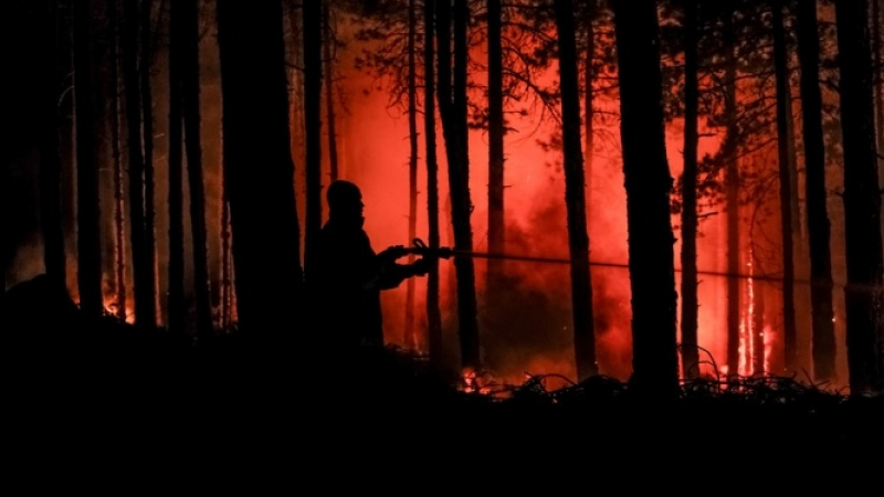 Паника в Кресна: Пожарът отново се разгоря (ВИДЕО)