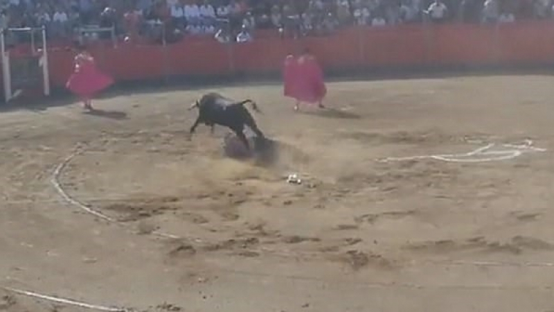 Ирония: Защитник на животни бе намушкан от бик, който се опитваше да спаси от корида (ВИДЕО)