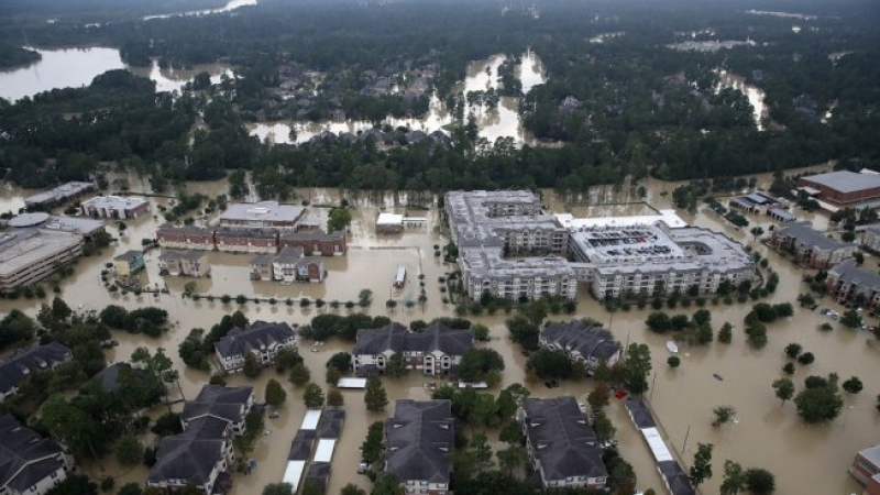 Франс прес съобщи за ужасяваща трагедия след урагана "Харви"
