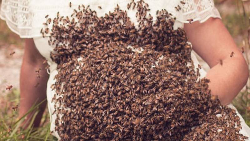 Тя 3 пъти пометна, а след това си направи уникална фотосесия с над 20 000 пчели (СНИМКИ)