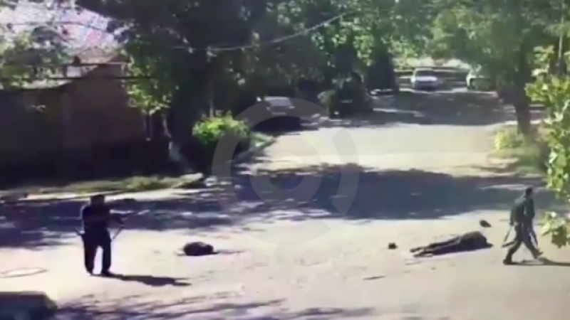 Дагестанските спецслужби застреляха като куче терориста Валид Моцаев и го прегазиха с кола, преди да издъхне (ВИДЕО 18+)