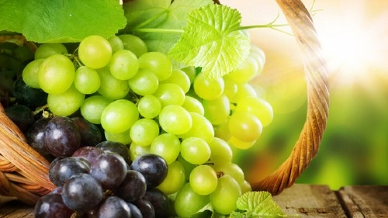 Хапвайте от тези плодове и зеленчуци, за да се подготвите за зимата (ВИДЕО)