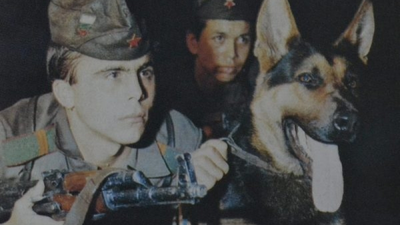 Уникално трогателна история от соца: Граничарското куче Верни, което плачеше като човек (СНИМКИ)