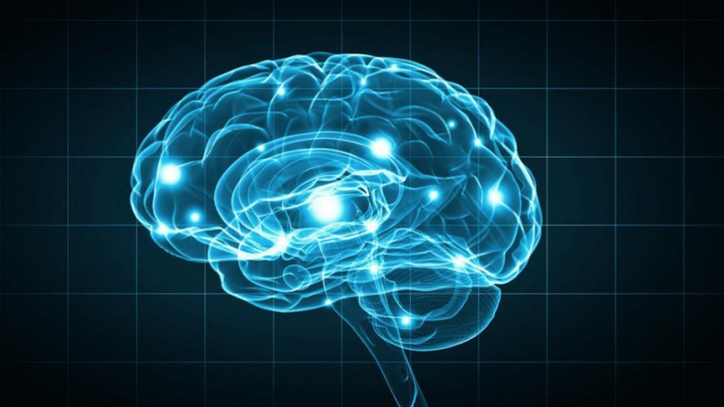 Изследване твърди: Мозъкът гълта повече енергия, за да спре да мисли
