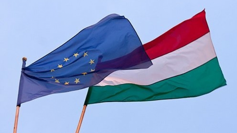 Унгарски партии изразиха протест срещу украински закон