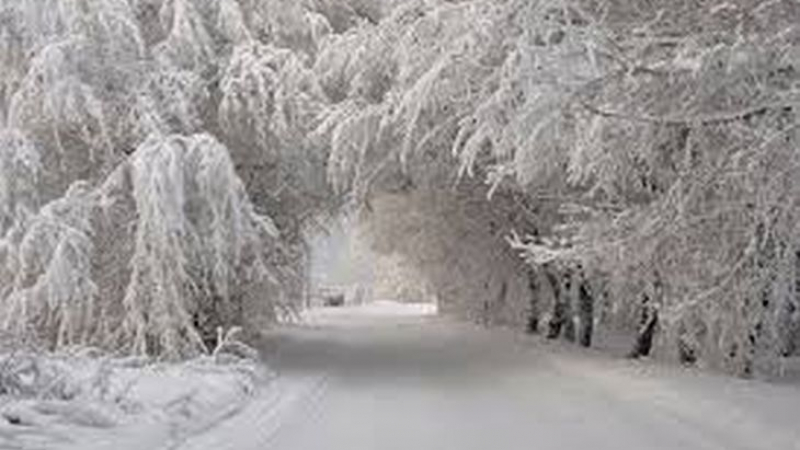 Синоптична агенция от САЩ прогнозира за България исторически аномалии през зимата!