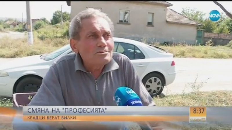 Нова страшна далавера в България: Крадци смениха професията - берат билки и... (ВИДЕО)