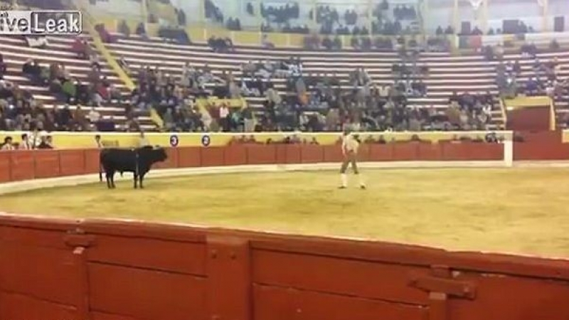 Ужасяващи кадри! Матадор се опита да пребори бик с голи ръце, но схватката завърши с фатален край (СНИМКИ/ВИДЕО 18+)