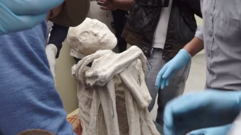 Учени сензационно: Три от намерените в Перу мумии са на извънземни рептилии (СНИМКИ/ВИДЕО)