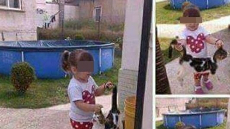 Само в БЛИЦ! Фейсбук въстана срещу майка, дала на момиченцето си да се гаври с котенце (СНИМКИ)