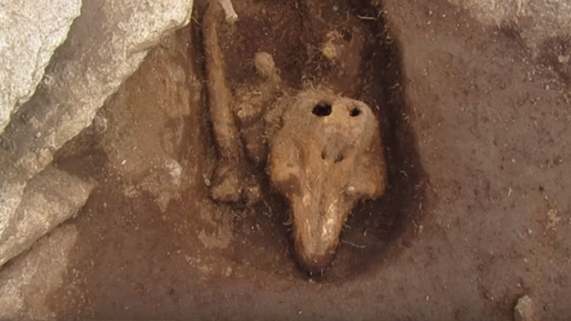 Учени бяха шокирани от странна гробница с останки, които не са човешки