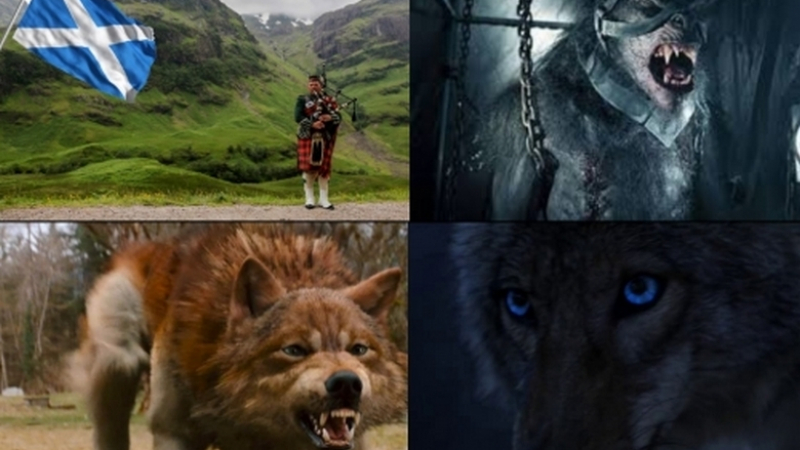 Шок в Шотландия: Върколаци крадат кучета и котки, разчленяват домашни животни (ВИДЕО) 