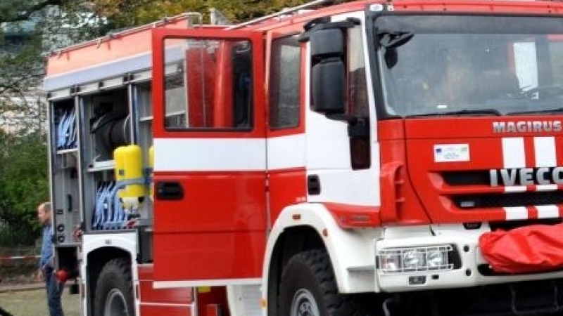 Зрелищна акция в Пампорово: Пожарникари спасяваха кон, пропаднал в 3-метрова шахта 
