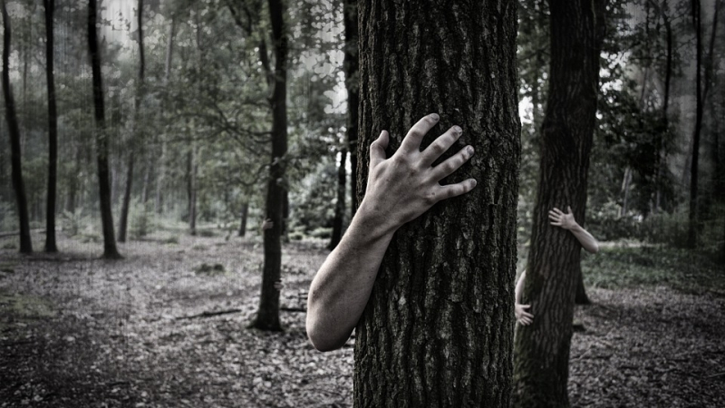 Ново 20: Дърветата ни пазят от стрес и психически заболявания
