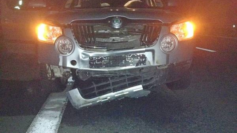 Кошмар на "Тракия": Кола се заби в стадо диви прасета (СНИМКИ 18+)