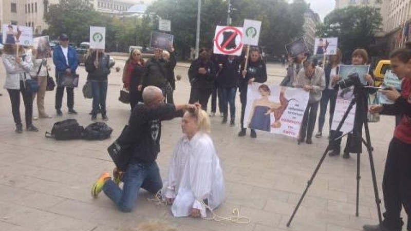 Веганите изтрещяха и обръснаха косата на жена пред Министерския съвет (ВИДЕО/СНИМКИ)