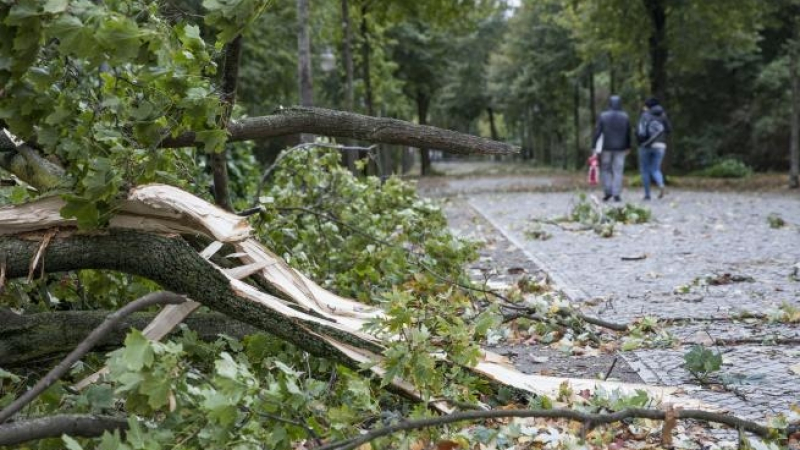 Буря отнесе Германия с вятър над 100 км/ч, има жертви