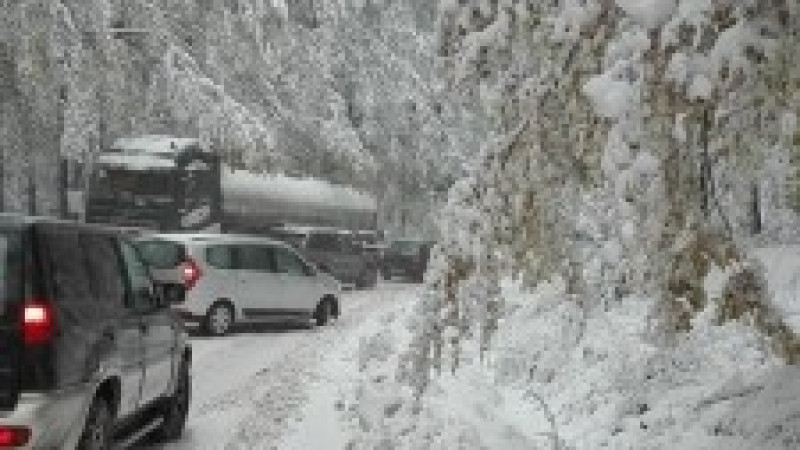 Сибирски студ скова Балканите