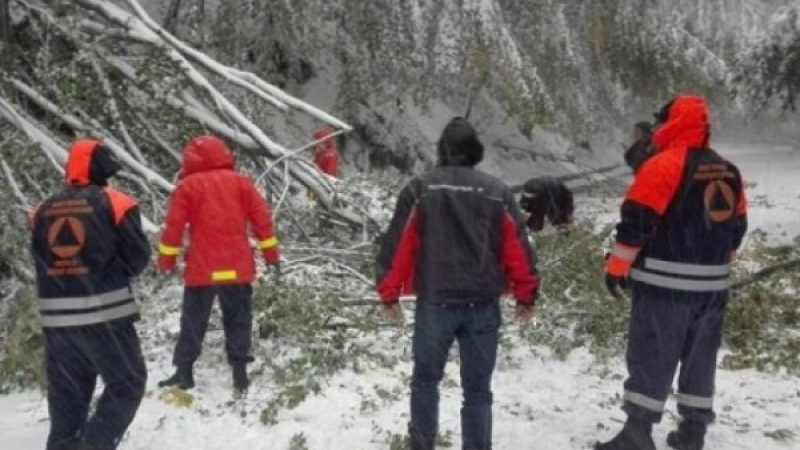 Снегът събори дървета край Петрохан, движението е невъзможно
