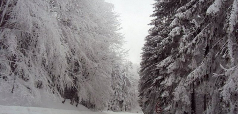 Синоптикът Петър Янков с плашеща прогноза: Зимата настъпва с пълна сила в... 