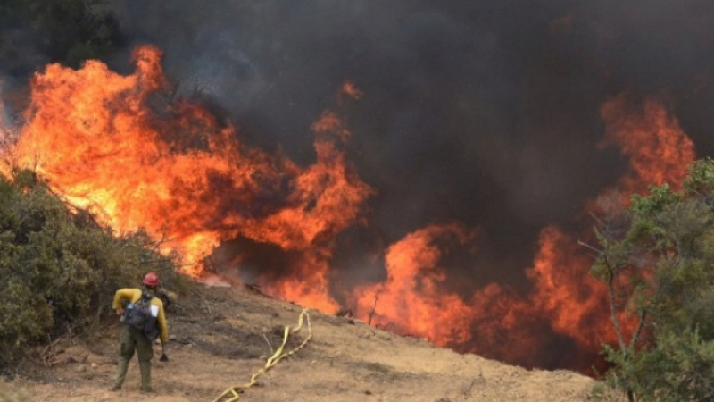 Две нови жертви в Калифорния, пожарът бе обявен за най-смъртоносния в историята на САЩ