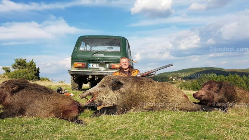 24-годишен ловец повали Страшилището на Родопите – 270-килограмов глиган (СНИМКИ)