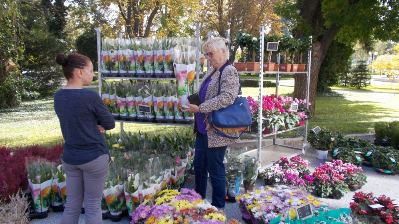 Всичко за градината показва изложението „Цветна есен 2017“ в Пловдив