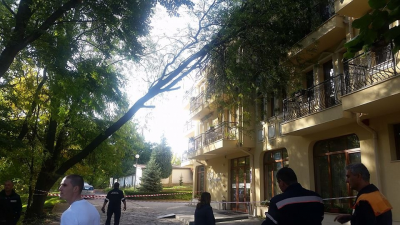 Първо в БЛИЦ: 100-годишно дърво рухна върху хотел в Хисаря, стана страшно (СНИМКИ)