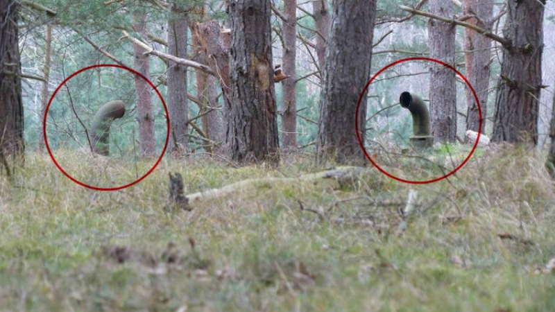 Приятели се натъкнаха на странни тръби в гората. Това, което откриха в тях, ги хвърли в ужас (СНИМКИ)
