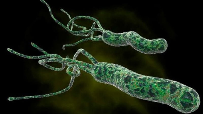 10 факта за най-коварната канцерогенна бактерия, която носи всеки втори човек