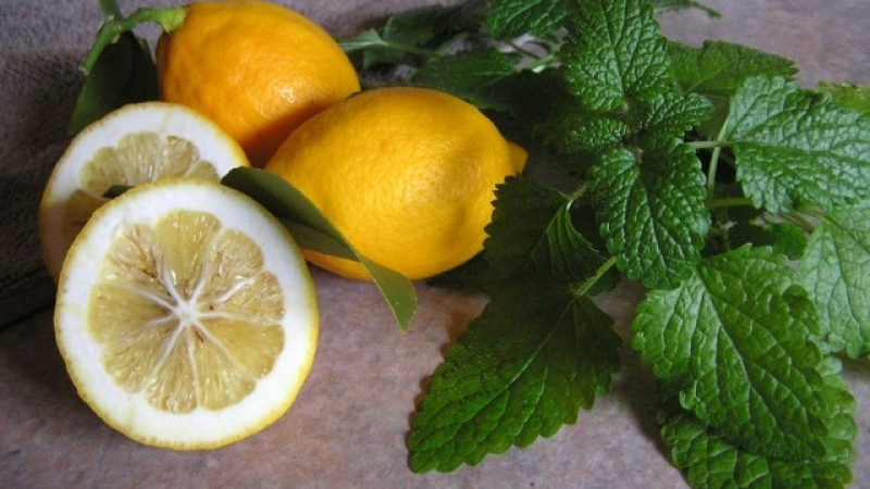 Как се заражда сицилианската мафия и каква е връзката с лимоните? (СНИМКИ)