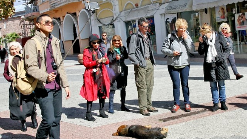 Нова мода! Туристите в Пловдив полудяха по селфита с неочаквана компания (СНИМКА)
