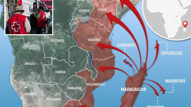 Смъртта идва! Девет страни с предупреждение заради страхове, че чумата ще долети от Мадагаскар (СНИМКИ)