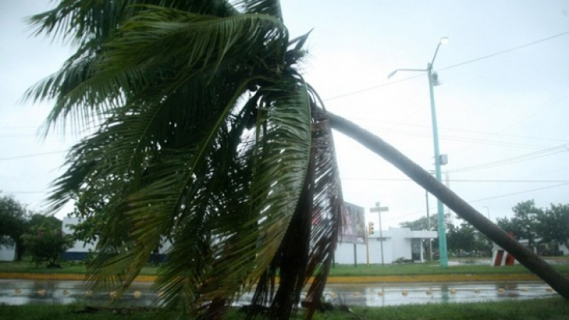 Тропическата буря Селма стигна до Салвадор, циклонът Фелипе приближава Флорида