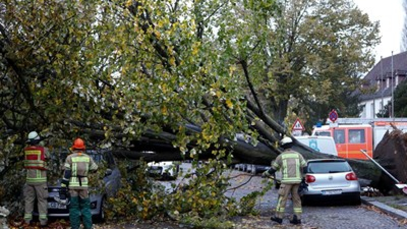 Обявиха извънредна ситуация в Германия и Чехия заради бурни ветрове