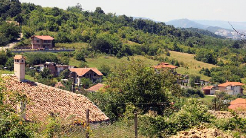 В околностите на Велико Търново се случва нещо невиждано от Второто българско царство насам