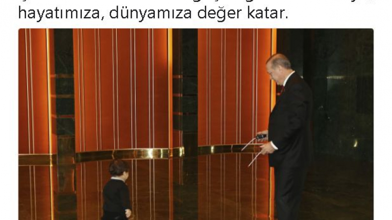 Ердоган разнежи мрежата с мила СНИМКА от президентството 