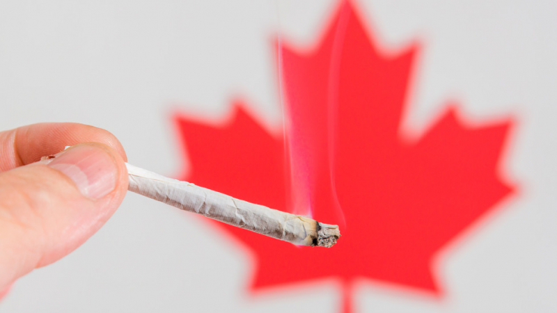 Канада въвежда данък върху марихуаната?