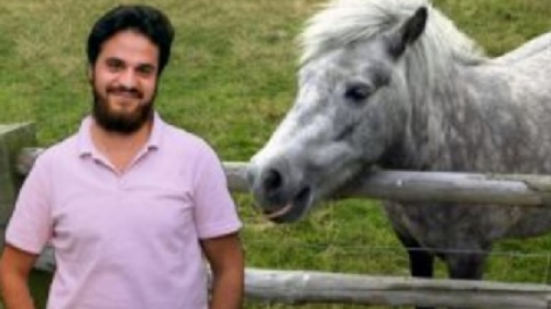 Шок и ужас! 23-годишен бежанец изнасили жестоко малко пони в берлински зоопарк 